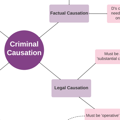 Criminal Law: Causation Map
