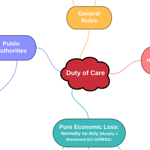 Tort Law: Duty of Care Negligence Mind Map
